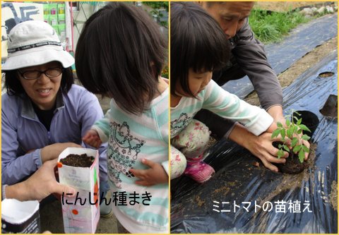 2018ぴんく野菜植え