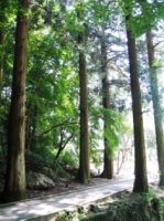 kagekiyoiriguchi