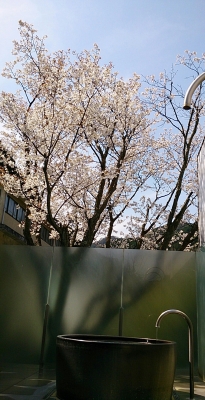 IMG_20140402_154450.JPG