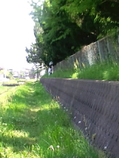 CA3G01400002.jpg