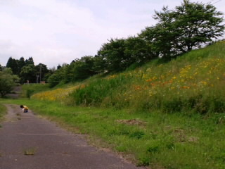 CA3G01780001.jpg