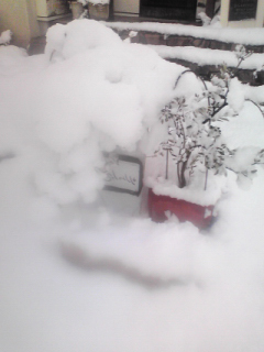 F1000170_2332.JPG