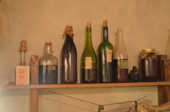 DSC_6519.JPG
