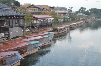 DSC_6533.JPG