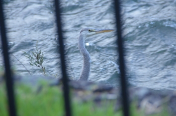 DSC_6573.JPG