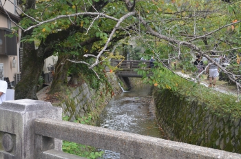 DSC_6938.JPG