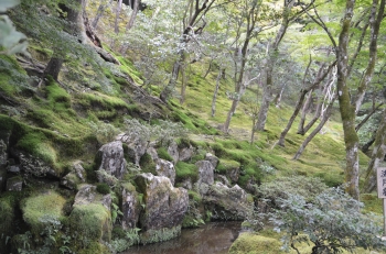 DSC_6967.JPG