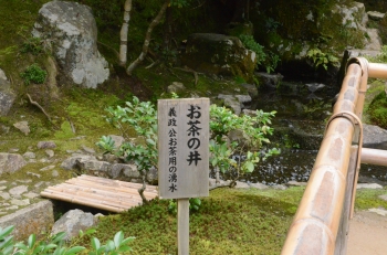 DSC_6982.JPG