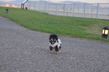 DSC_7249.JPG