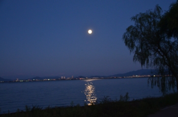 DSC_7386.JPG