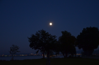DSC_7397.JPG