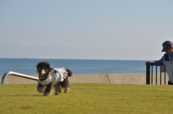 DSC_7494.JPG