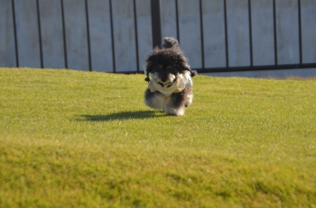 DSC_7501.JPG
