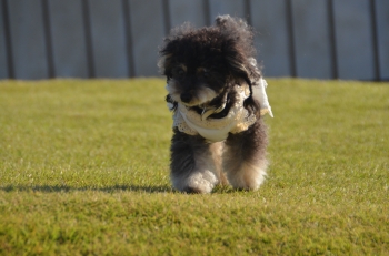 DSC_7503.JPG
