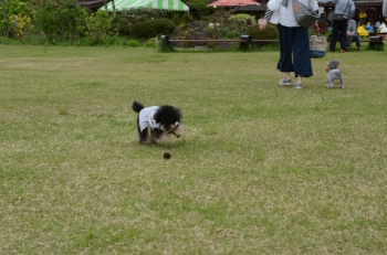 DSC_7644.JPG