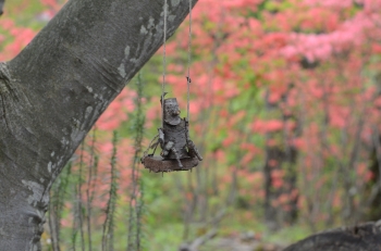DSC_7729.JPG