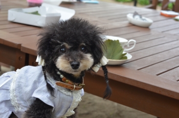 DSC_7812.JPG