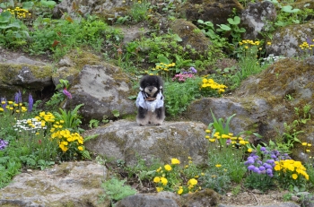 DSC_7979.JPG