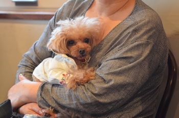 DSC_8506.JPG