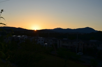 DSC_0948.JPG