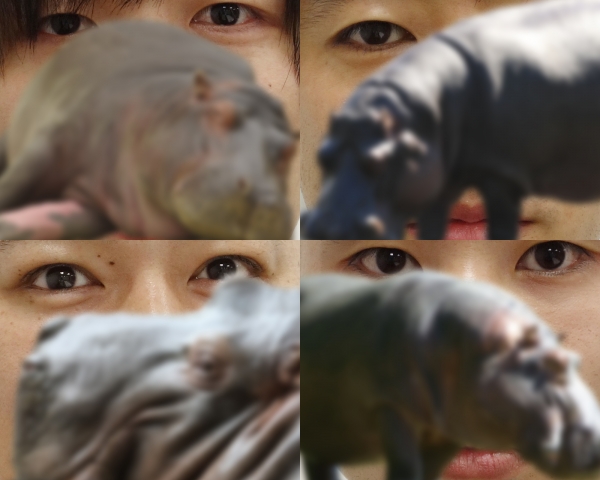joes_four.jpg