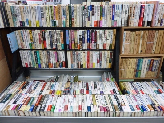 P1080013.JPG