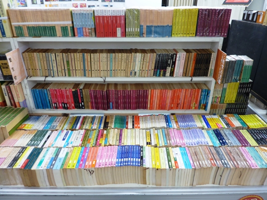 P1080027.JPG