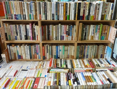 P1080524.JPG