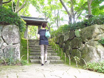 �������Բ�������