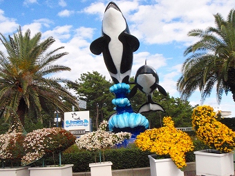 ���������