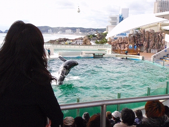 ̾ʪ��������硼