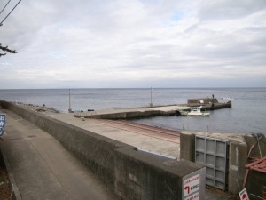 本日の海