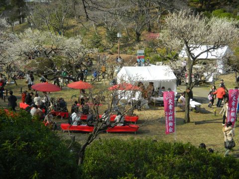 大倉山 観梅会2