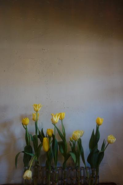 DSC02438.JPG