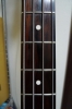 schector7