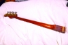 schector15
