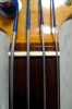 mus-B12