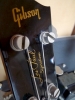 LPSes_33
