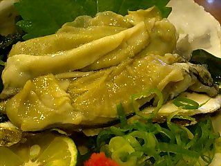 マヂ、ヤヴァそうな岩牡蠣