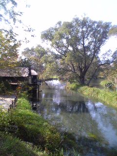 20061104_212705.JPG