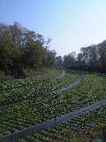 20061104_212707.JPG