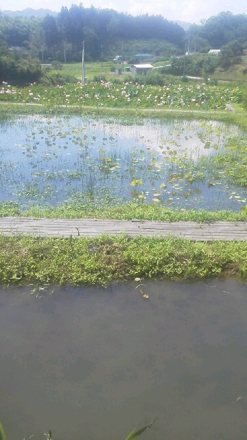 2015072119480000.jpg