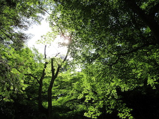 hirosima-07