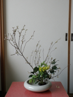 かめちゃんの作品