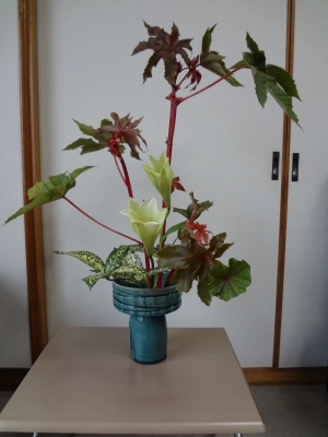13.11.3 002.JPG