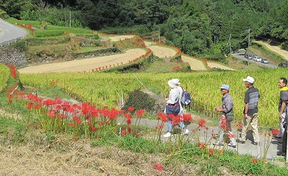 つづら棚田を歩く