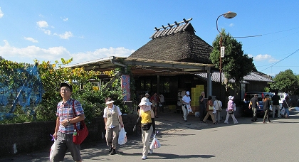 中島農園