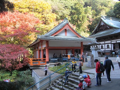 清水寺本堂の紅葉