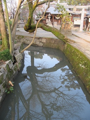 矢留大神宮水の構図