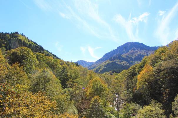 10月14日の秋山郷 | 栄村復興への歩み（被災情報ブログ）